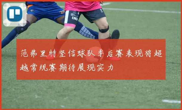 范弗里特坚信球队季后赛表现将超越常规赛期待展现实力