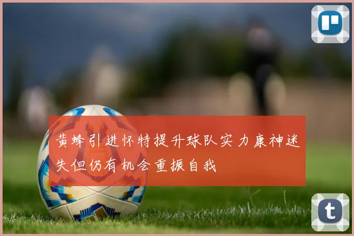 黄蜂引进怀特提升球队实力康神迷失但仍有机会重振自我